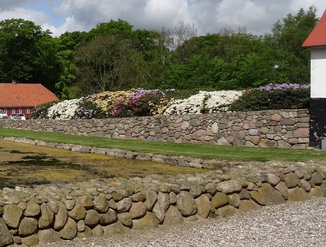 Under sin omtale af Kattrup nævnte Henning Bonde, at stedets flotte rododendroner er et besøg værd Foto: F.P.
