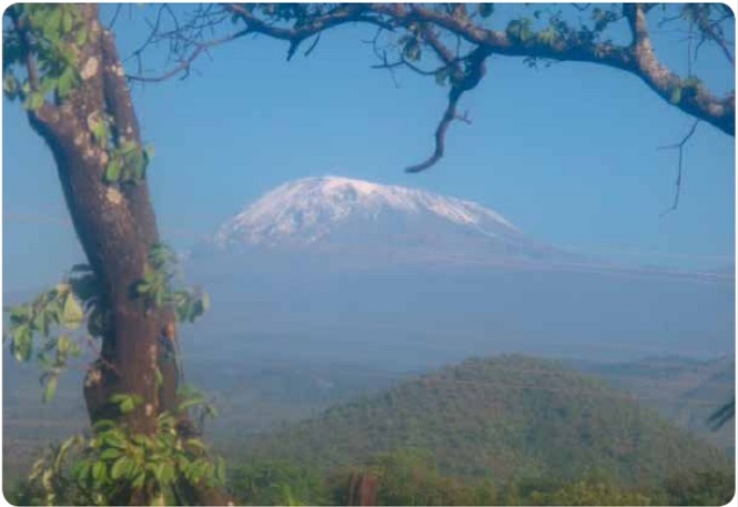Kilimanjaro - Afrikas højeste bjerg, der er 5.895 m højt. Foto: Margit og Henrik Nielsen